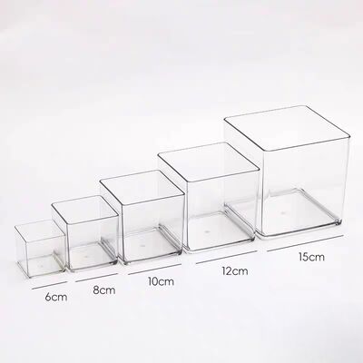 Customize Transparent Acrylic Storage Box Can Be Used to Display Plant
